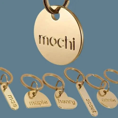Solid Brass Pet Tags: Contemporary Design, Deep-Cut Text That Lasts a Lifetime