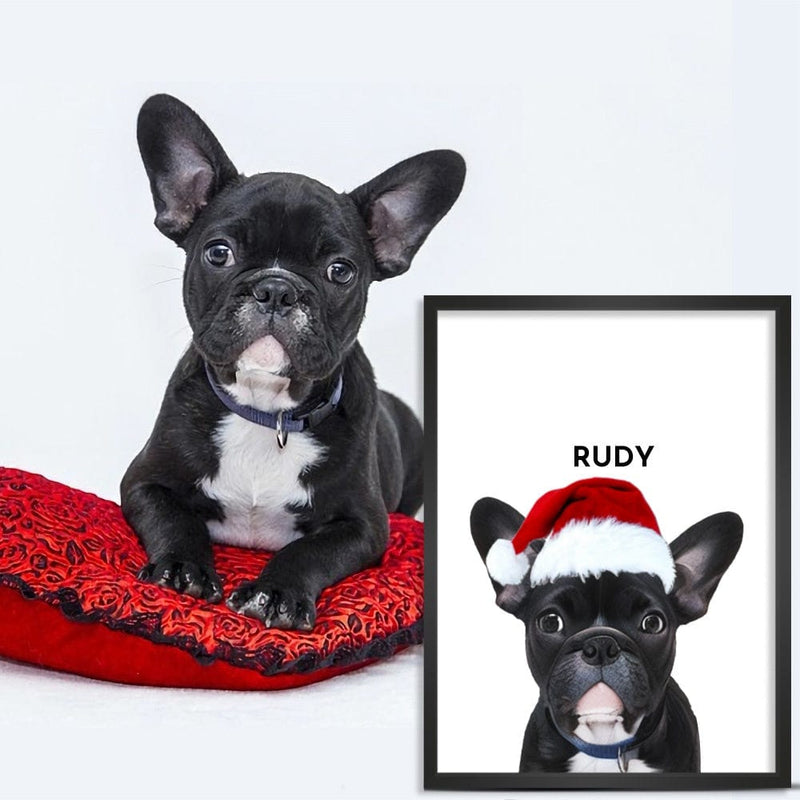 Pet Christmas Portraits