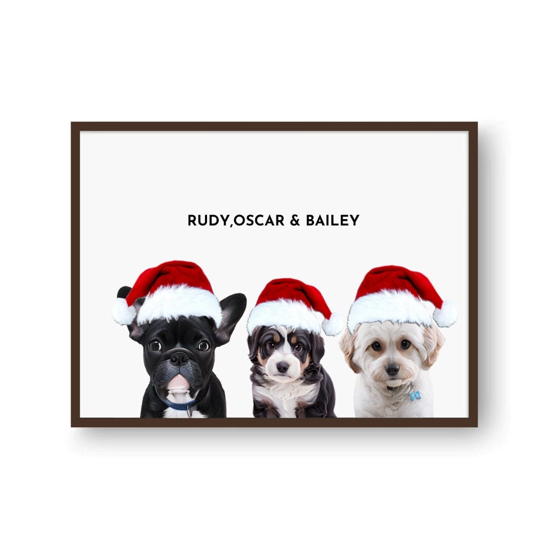 Three Pet Christmas Portraits